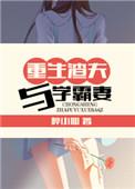 重生渣夫与学霸妻新浪博客