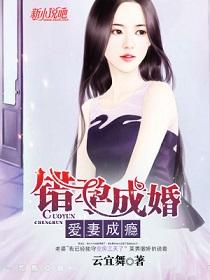 爱妻成瘾全文阅读