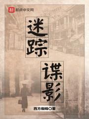 迷踪谍影 百度