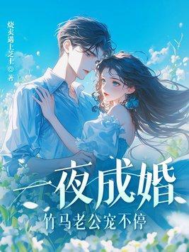 一夜沉婚免费阅读