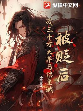 被贬后我三十万大军马踏皇城5200