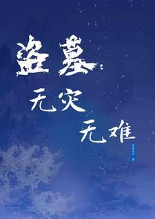 盗墓无敌流