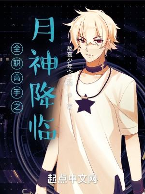 全职高手之神月夜