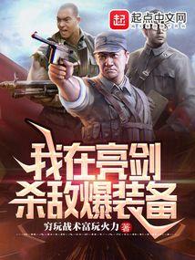 亮剑之杀敌爆装系统