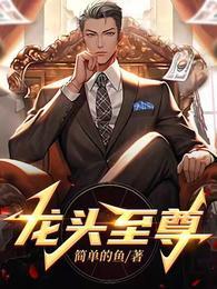 龙头至尊在线阅读