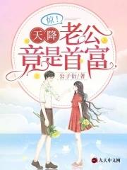 天降巨款老公